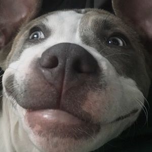 Meet your Posher, Matthew